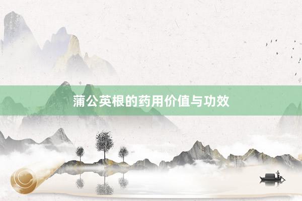 蒲公英根的药用价值与功效